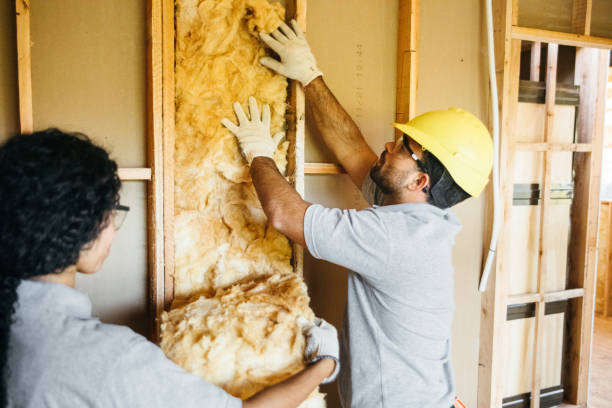 Insulation Repair Services in Muscoy, CA